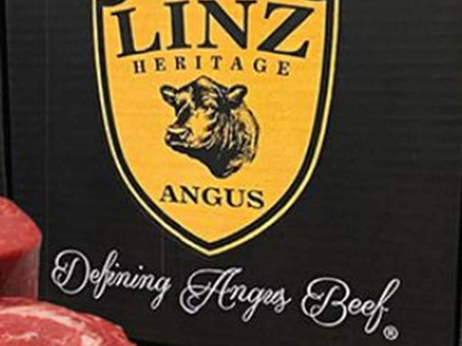 Linz Angus