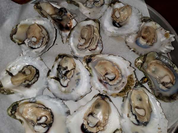 FRESH FARM RAISED OYSTERS steamed and shucked right in front of you at our oyster bar!
