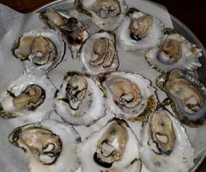 FRESH FARM RAISED OYSTERS steamed and shucked right in front of you at our oyster bar!